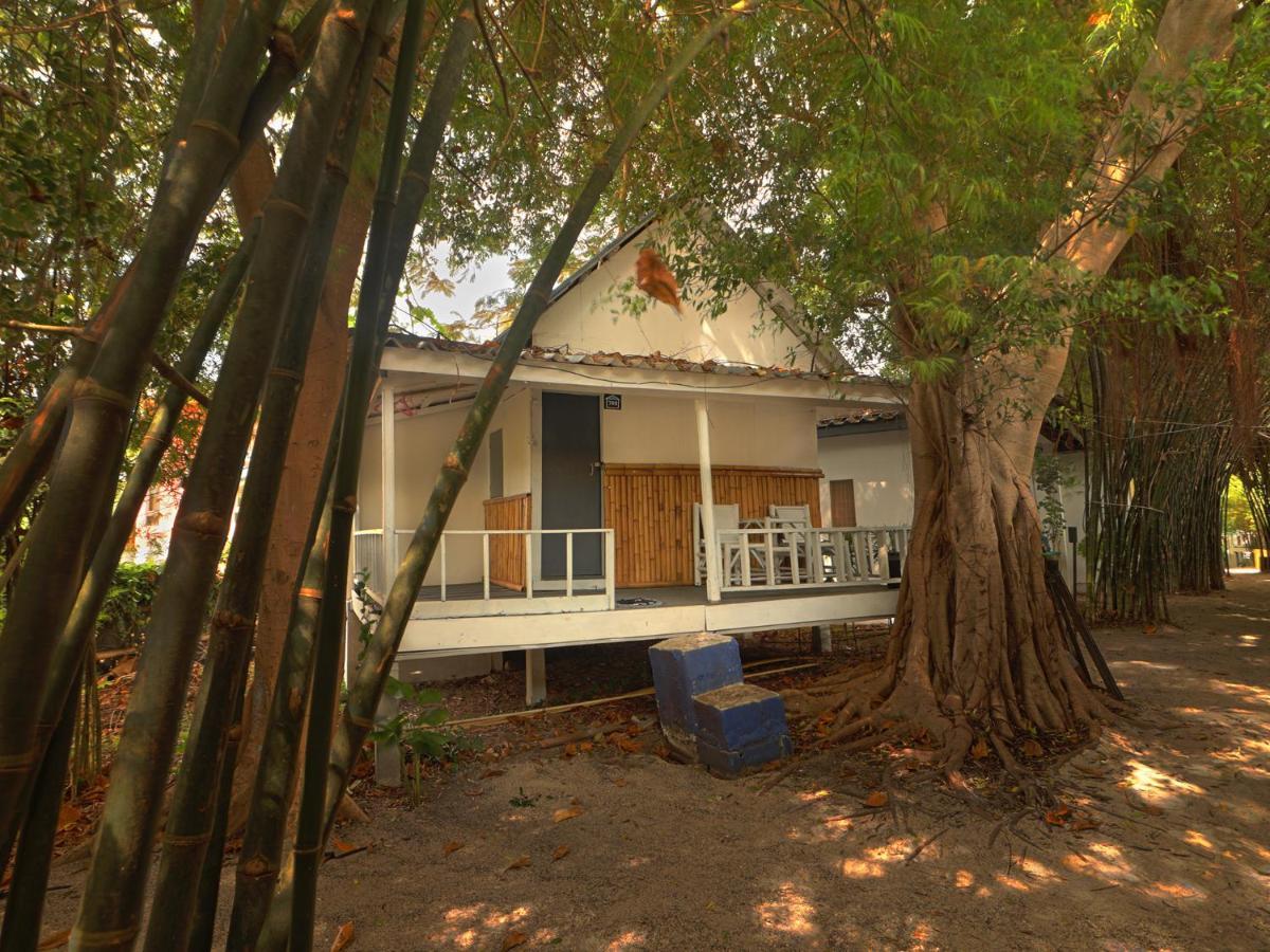 Asia Blue - Beach Hostel Hacienda Ko Pha Ngan Exterior foto